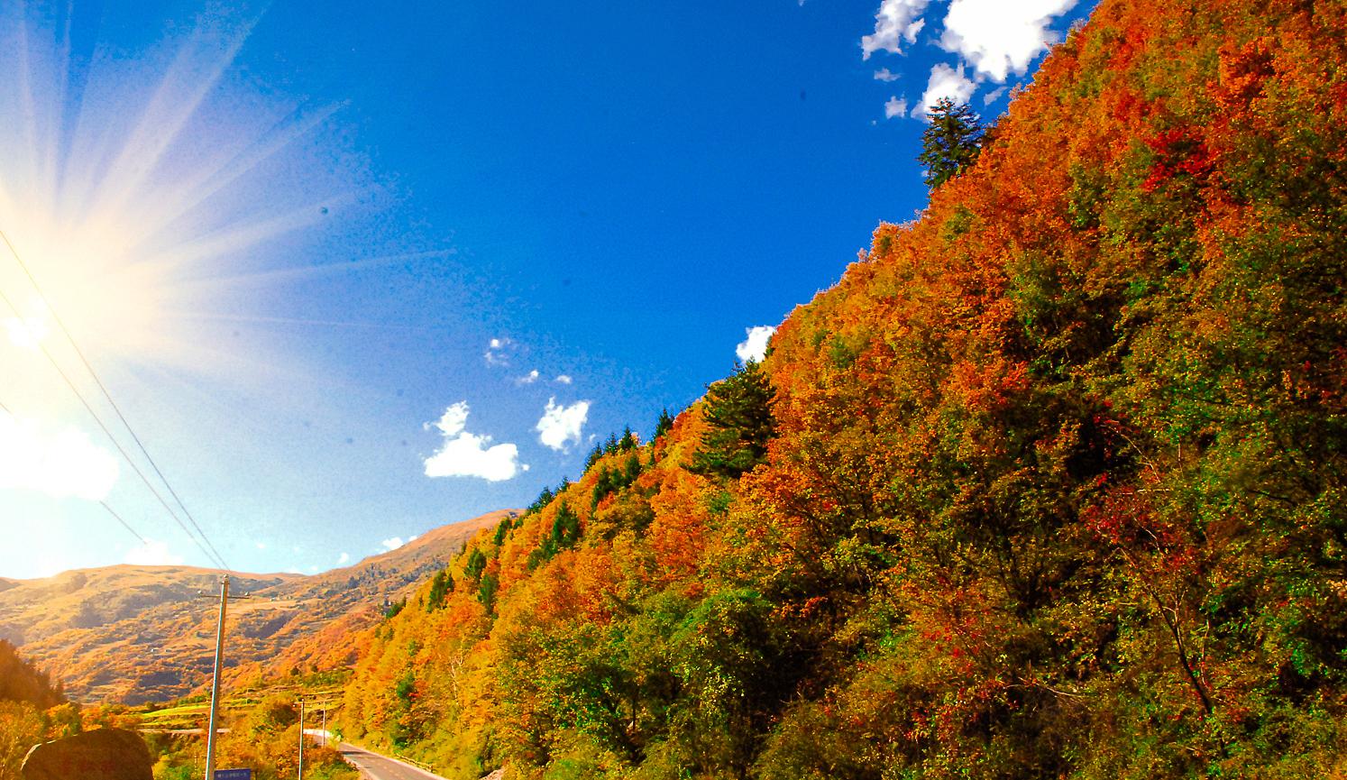 成都周边2日秋季赏红叶自驾游：奶子沟-八十里彩林风情谷-卡龙沟2日自驾游