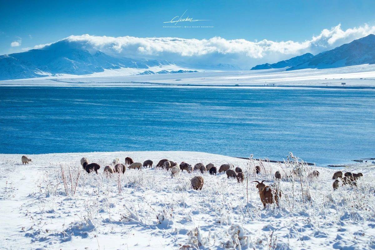 乌鲁木齐集合6天北疆自驾游：魔鬼城-禾木村-克拉玛依-喀纳斯6天冰雪自驾游