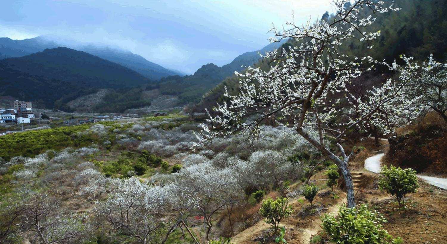 周末中山周边自驾游：增城品盆菜-从化石门森林公园赏枫叶-溪头村寻梅2天自驾