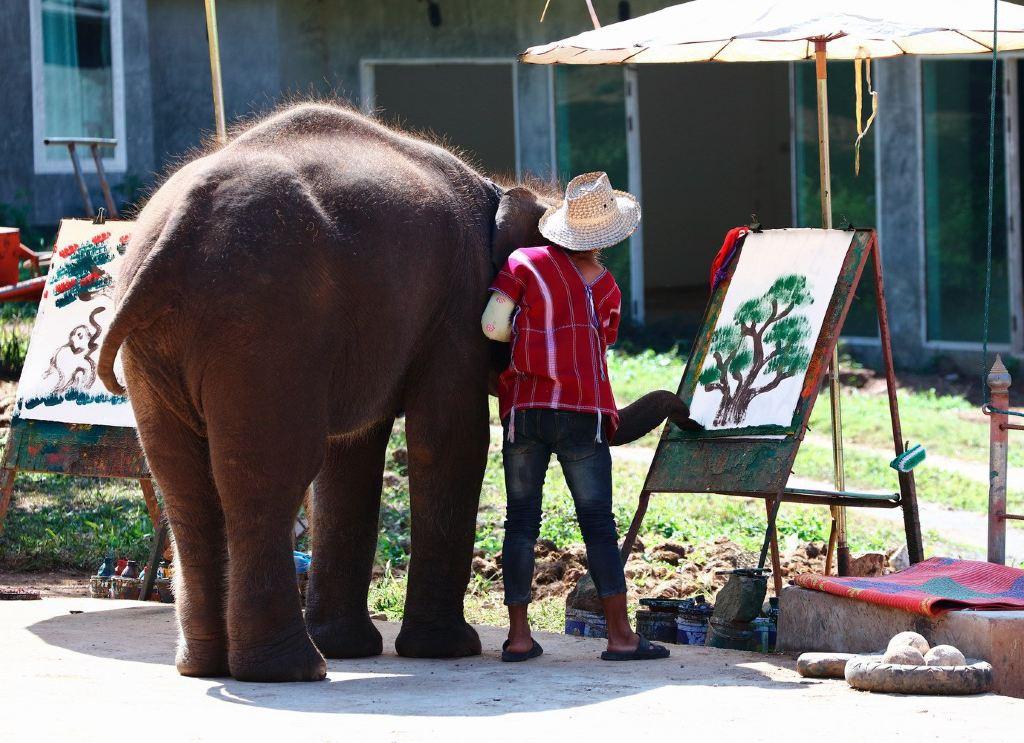 昆明出发泰国7天自驾游：金三角-清莱-清迈小城故事7日东南亚自驾游