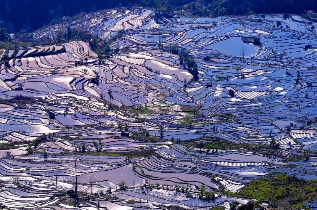 重庆出发云南6日自驾游：建水古城-元阳梯田-蒙自-碧色寨追忆芳华-罗平油菜花6日自驾之旅