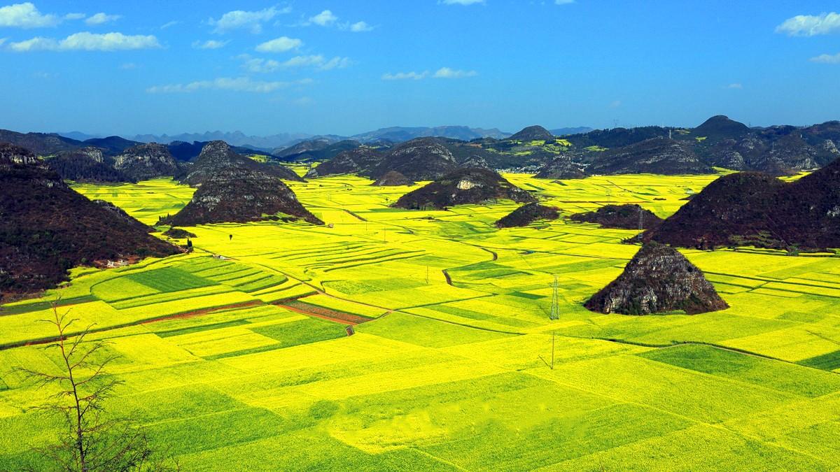 重庆出发云南6日自驾游：马岭河大峡谷-云南第一佛弥勒大佛-云南第一洞阿庐古洞-罗平6日自驾之旅