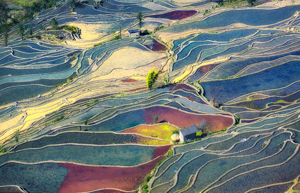 山东出发云贵14日深度自驾游：罗平油菜花、元阳梯田、抚仙湖14日自驾游