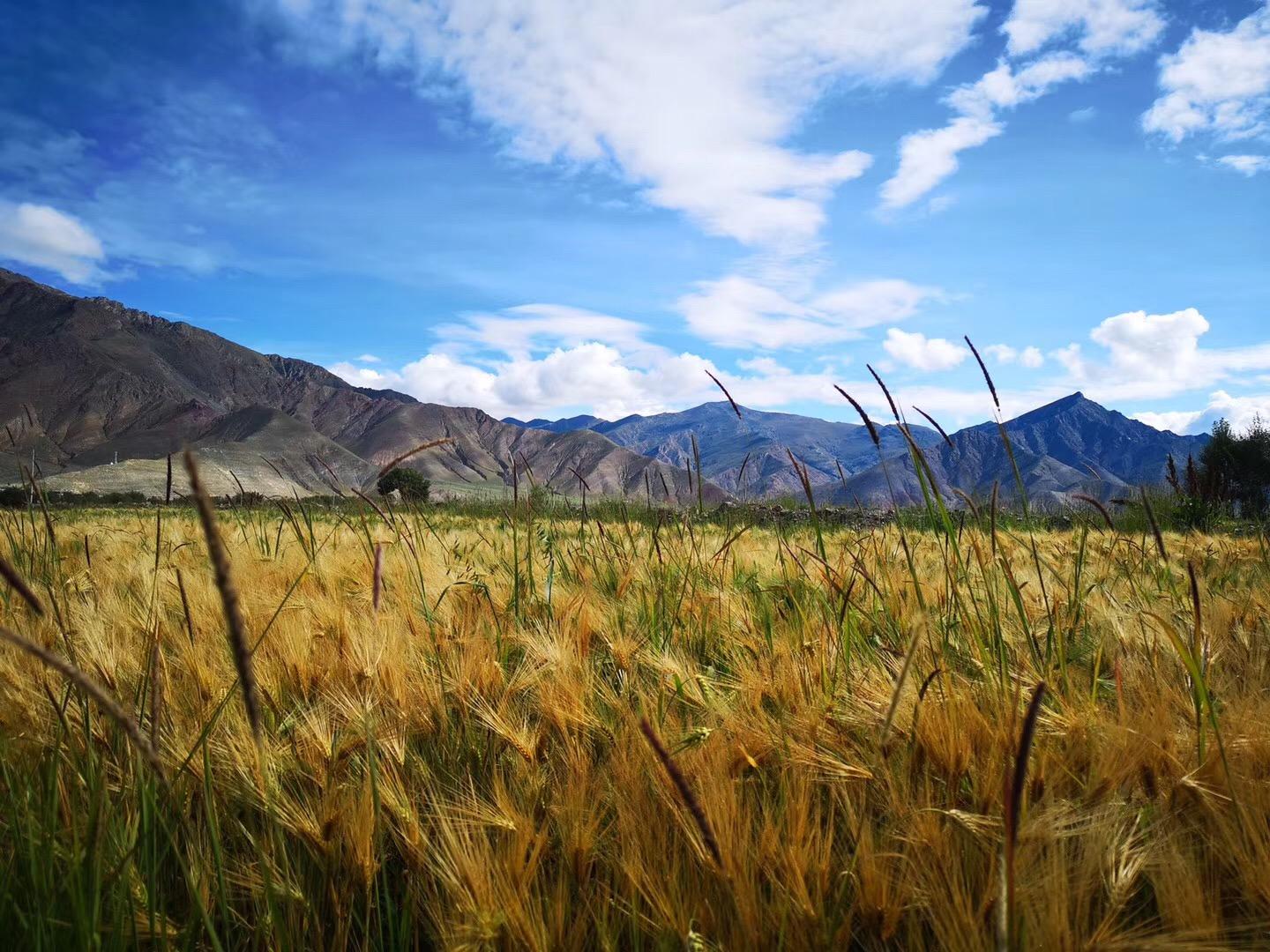 萍水川藏路、凌波捧玉盘-稻城+西藏15日自驾：稻城亚丁-然乌湖-羊卓雍措-布达拉宫-纳木错-茶卡盐湖-青海湖15日自驾之旅