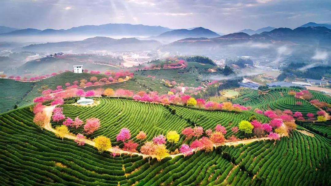 厦门集合6日福建省内自驾游：漳洲樱花-福建土楼-汀洲古城6日休闲自驾游