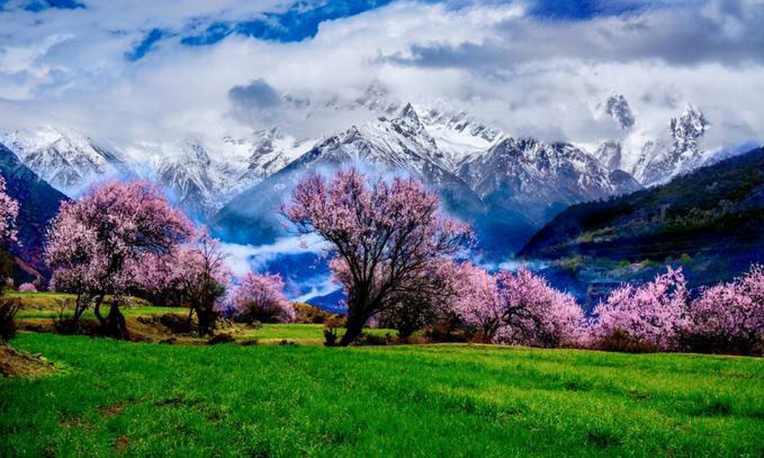 拉萨集合林芝桃花9日自驾游：林芝桃花-布达拉宫夜景-墨脱落地自驾9日
