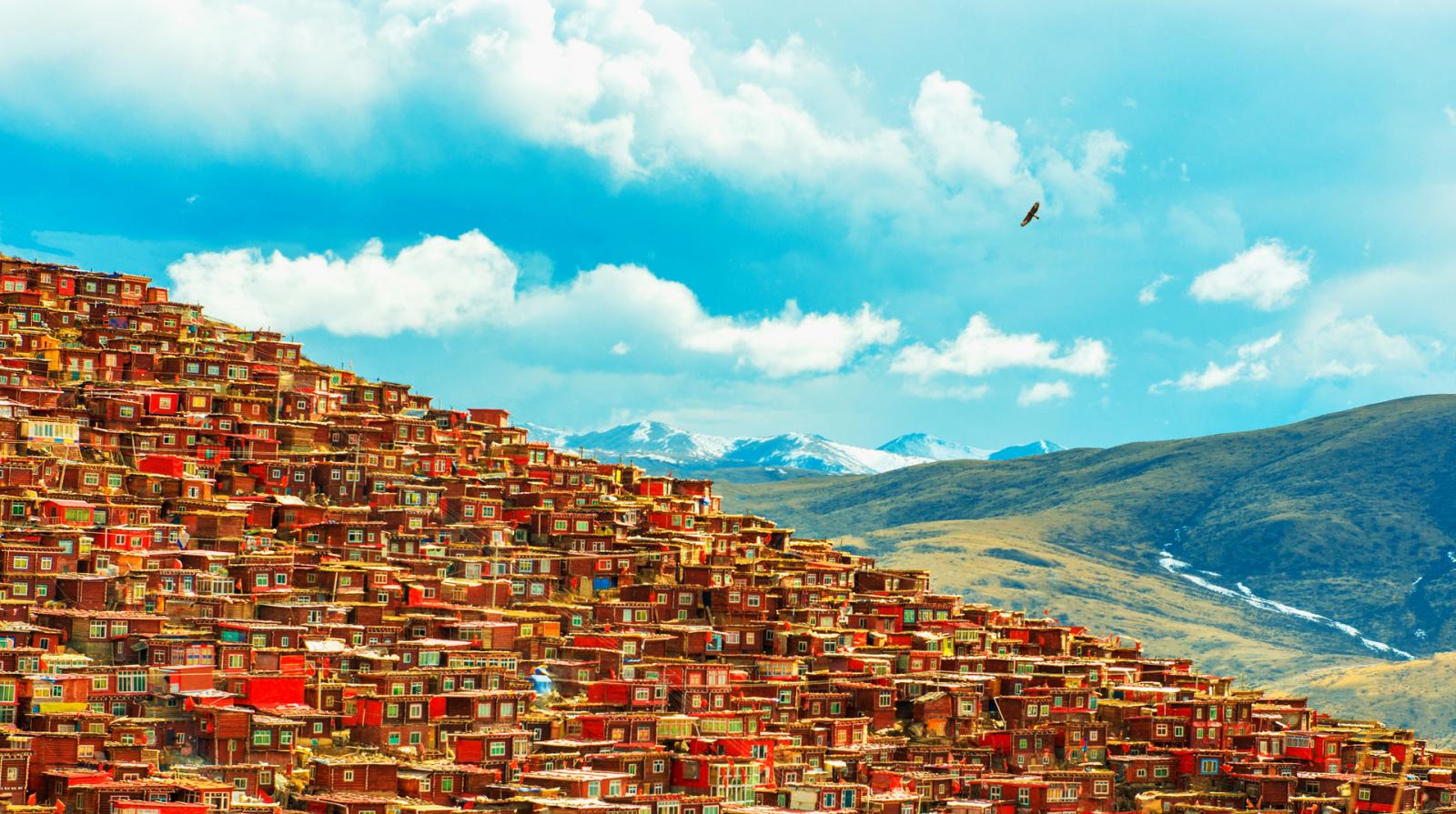 成都出发11日川藏线拼车包车游：新都桥摄影-色达-亚丁-波密11日川藏线包车游