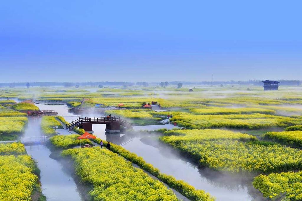 北京出发江苏兴化4日自驾：垛田水上油菜花-鼋头渚樱花-台儿庄古城4日自驾游