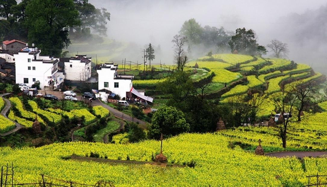 九江集合4日婺源自驾游：瑶里古镇-江岭梯田-屯溪老街-婺源油菜花4日落地自驾游