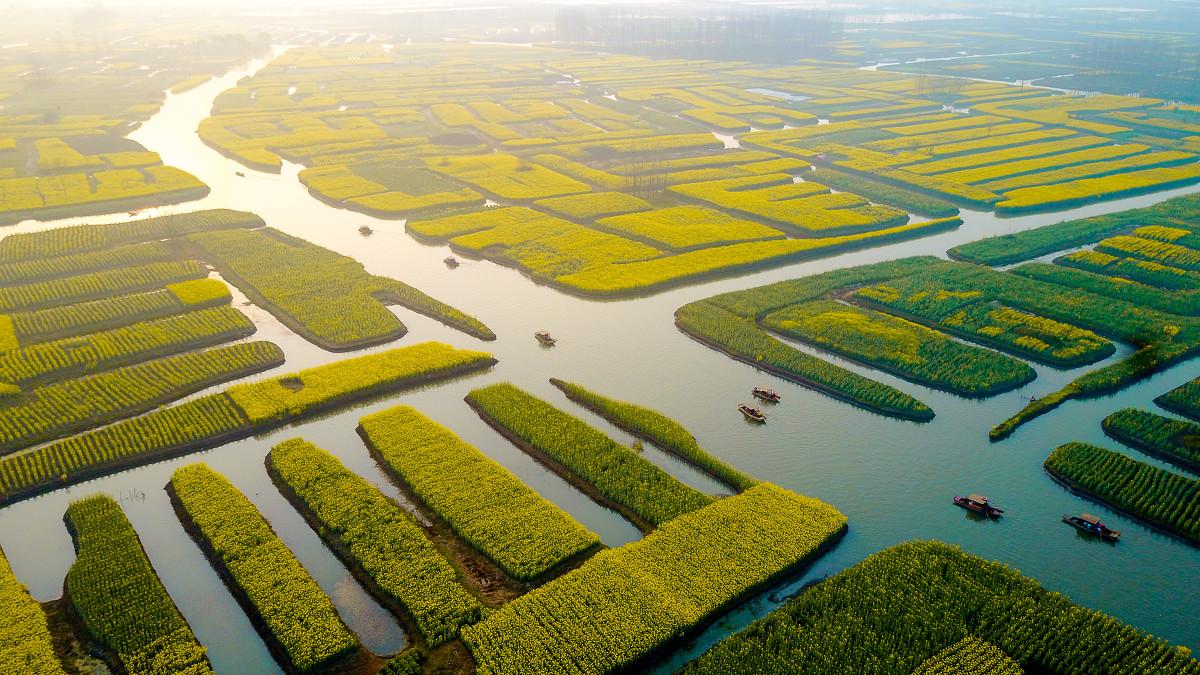 青岛到淮安3日自驾游：淮安府署+河下古镇+李中水上森林公园+千垛油菜花休闲自驾之旅