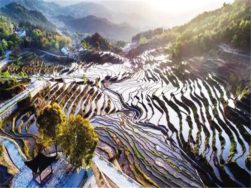 湖北武汉出发周边自驾游：雾云山梯田-东坡赤壁1日踏青自驾游