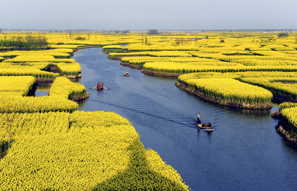 山东出发到江南5日游：扬州、桃花潭、采石矶、响水涧5日踏春自驾游