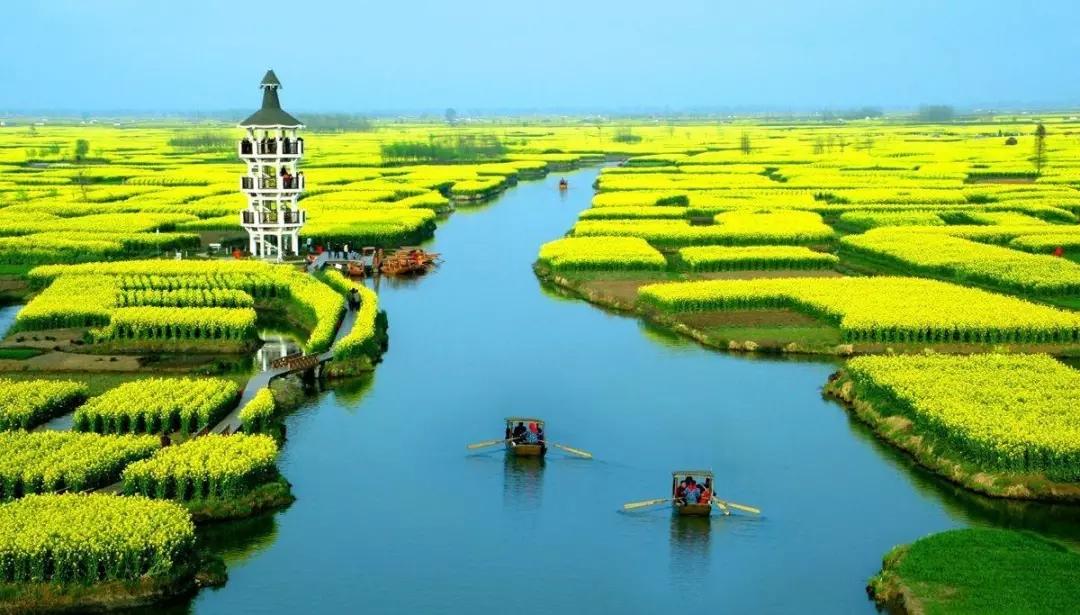 湖北出发浙江4日自驾游：扬州瘦西湖-李中水上森林-千垛菜花4日自驾游
