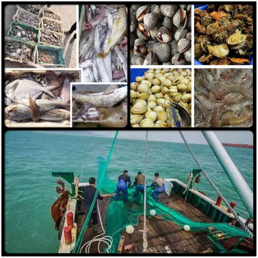 北京至黄骅2日自驾游：黄骅出海-船上现食海鲜大餐-湿地2日自驾游