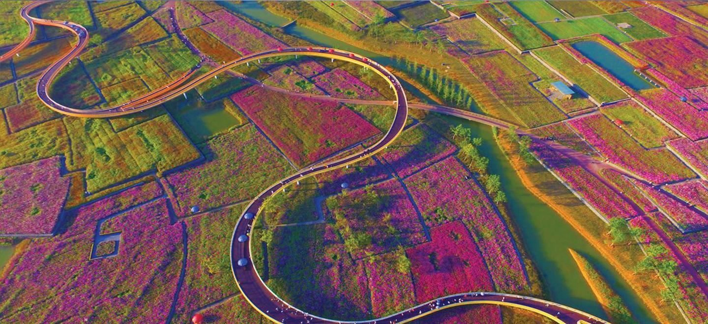 山东到苏北3日自驾游：河下古镇-衲田花海-洪泽湖休闲3日自驾游