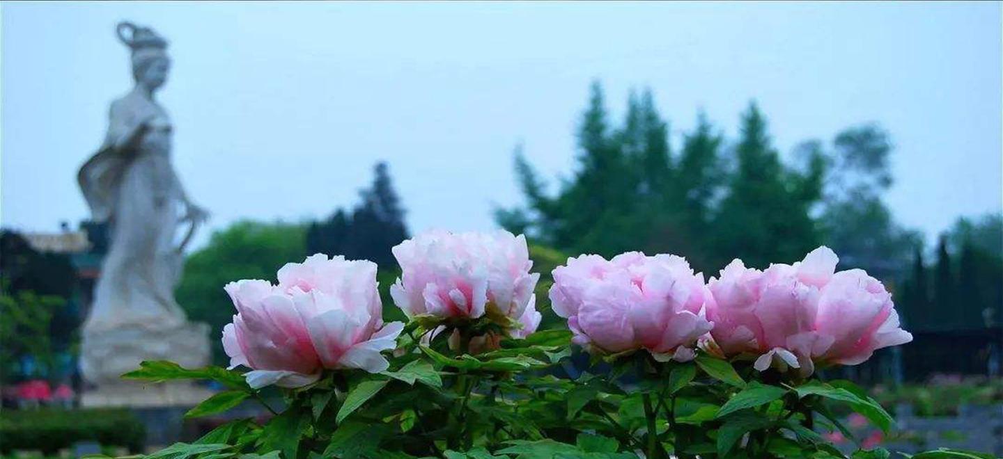 山东到河南3日自驾游：洛阳牡丹园-开封大宋武侠城-伏羲山红石林-经典山水3日自驾游