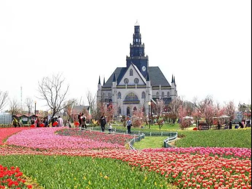 江苏周边2日自驾游：大丰豪华特色酒店-荷兰花海-梦幻迷宫2日自驾游