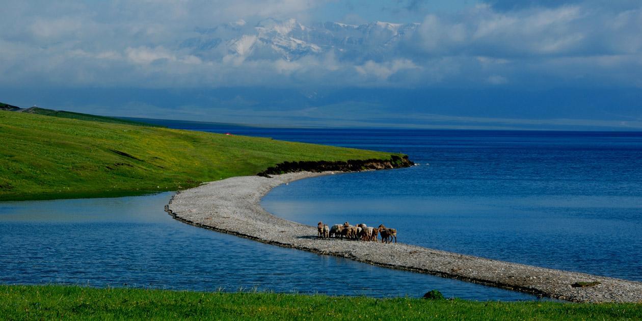 江西出发北疆19日环线自驾游：丝绸之路-喀纳斯-五彩滩-巴音布鲁克-独库公路19日新疆自驾游