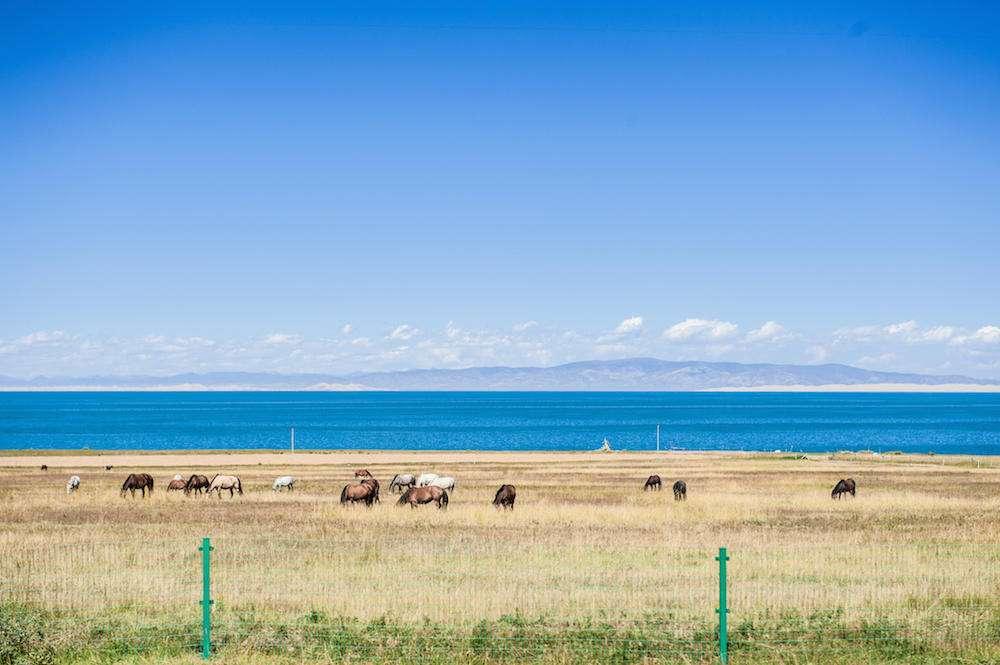 兰州集合2日周边自驾游：大美青海湖-天空之境茶卡盐湖2日周末自驾游