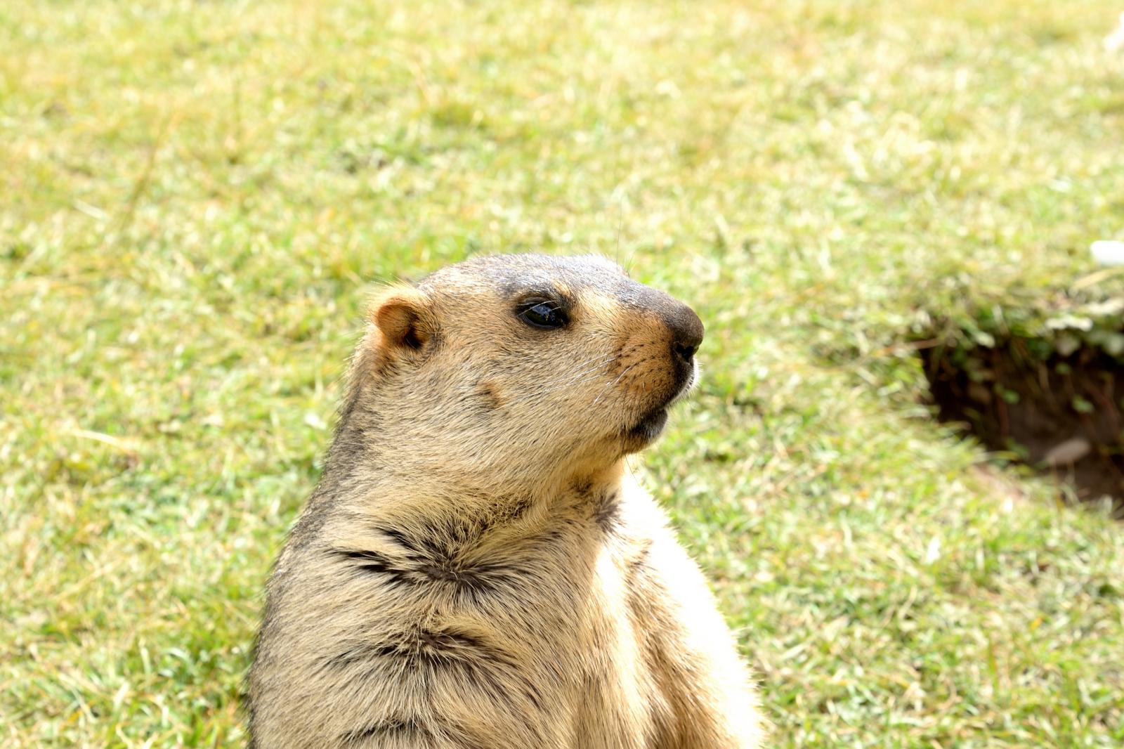 成都出发川西3日自驾游：遗忘的村落-莫斯卡3日自驾游