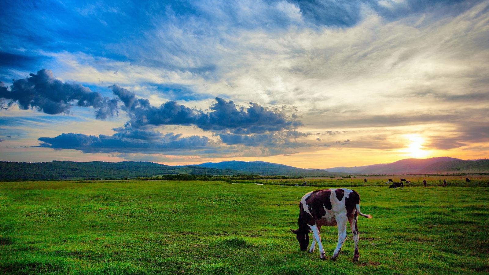 西安出发内蒙呼伦贝尔8日落地自驾：兴安林海-地质温泉-莫日格勒河-满洲里8日自驾游