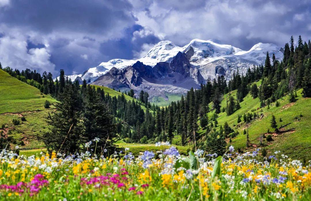 重庆自驾四川5日自驾游：康定-理塘-巴塘格木村-冷古寺-铁匠山-理塘-新都桥康定5日自驾之旅