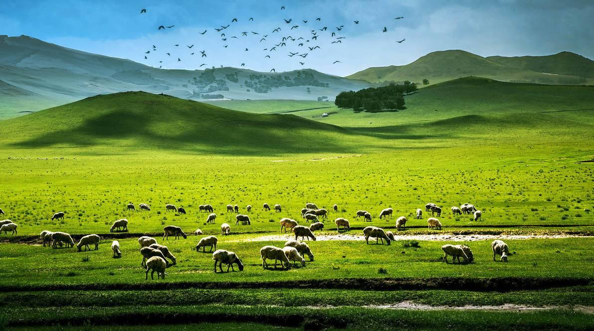 山东出发内蒙古6日自驾游：二连浩特-辉腾锡勒大草原-察哈尔火山群-库布奇沙漠6日神秘探险之旅