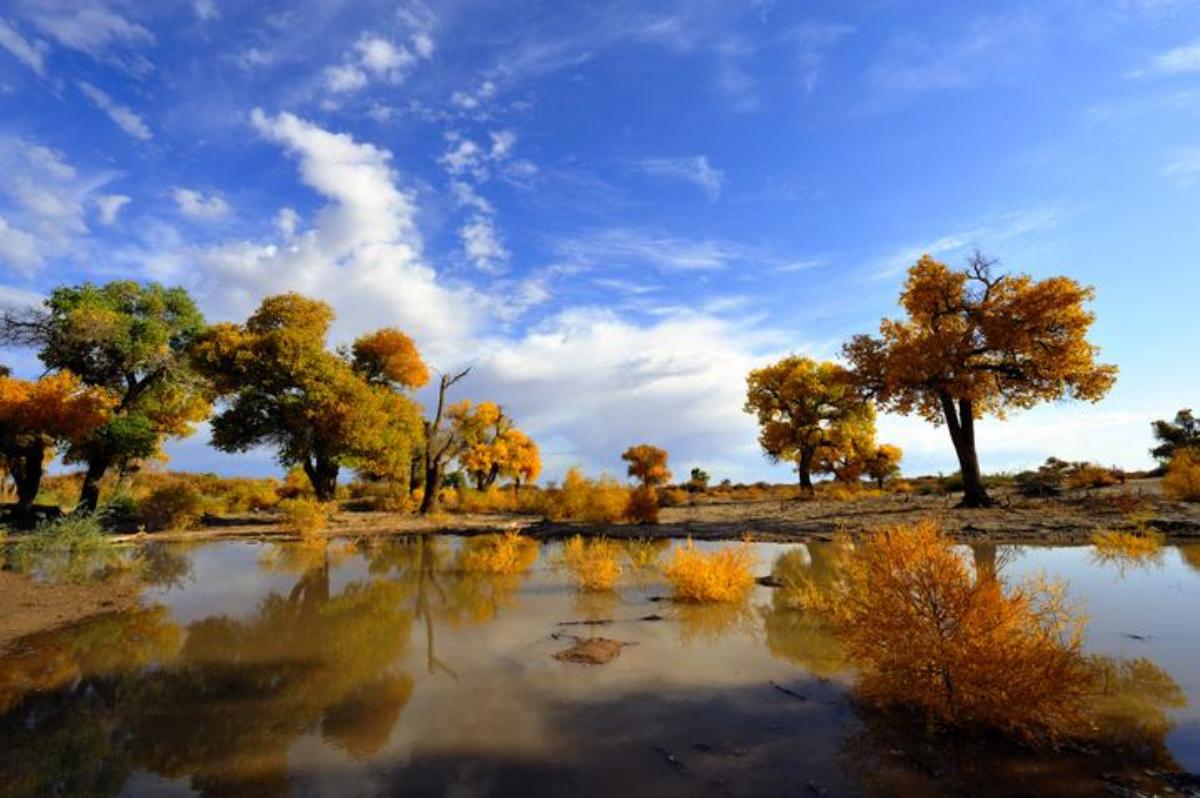 北京出发额济纳旗8日自驾游：胡杨林-居延海-黑水城、西夏王陵8日自驾