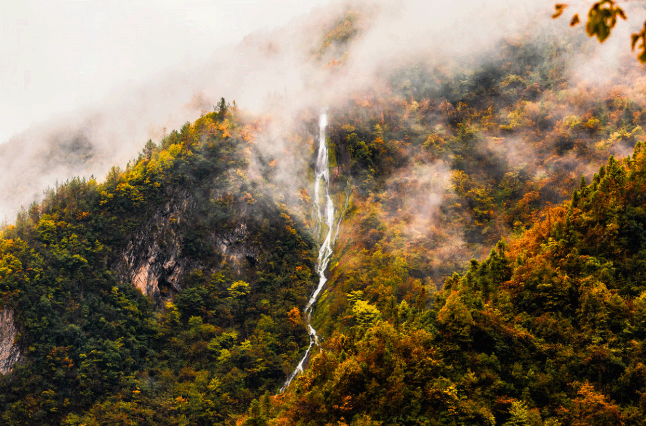 青岛出发湖北神农架8日自驾游：恩施大峡谷-狮子关-屏山大峡谷-武当山