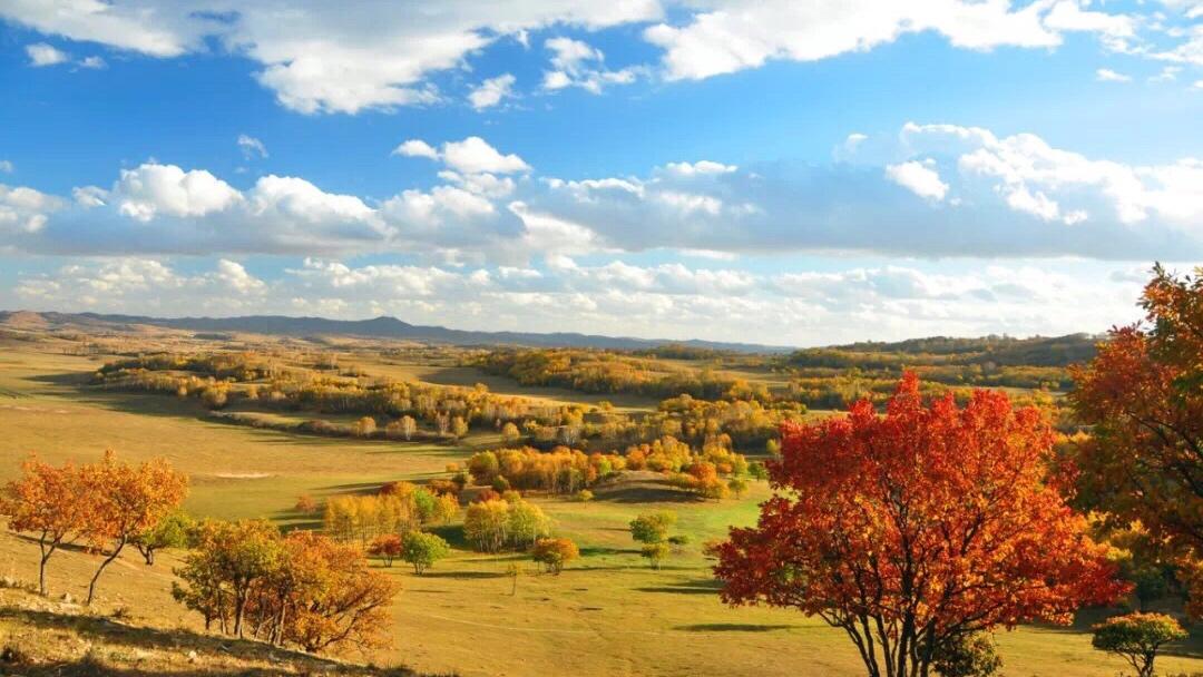 秋天北京出发3日乌兰布统自驾路书：多伦-姑娘湖-浑善达克-乌兰布统-最美秋天童话3日自驾游