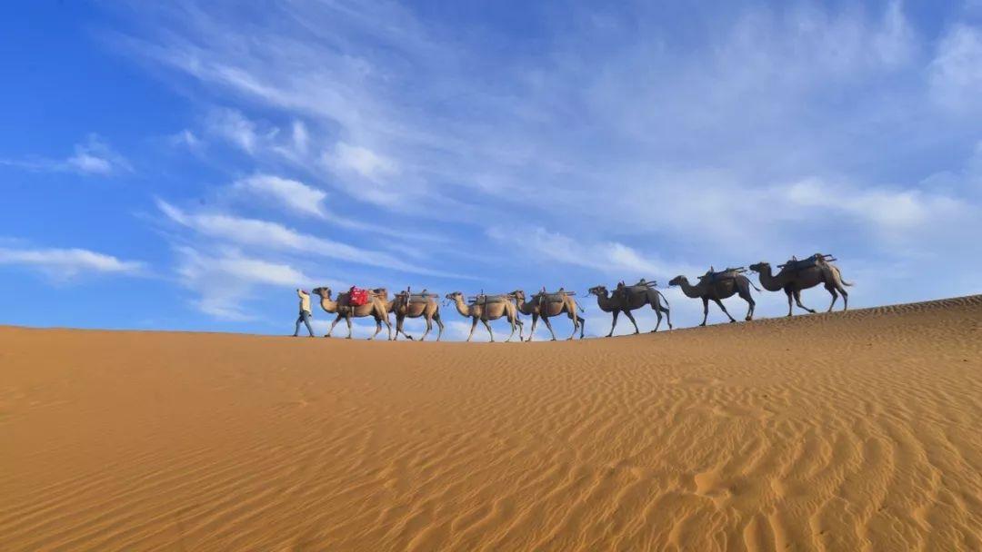 成都出发宁夏中卫6日自驾游：黄河宫-沙坡头-南泥湾-壶口瀑布6日自驾游