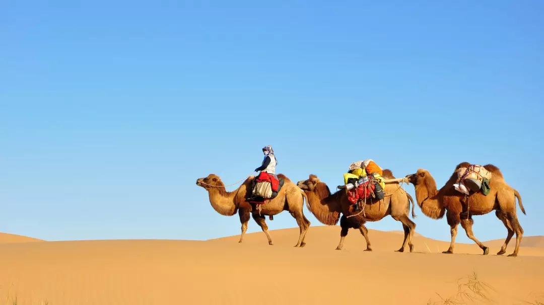 重庆到鄂尔多斯7日自驾游：达拉特旗-康巴什-苏泊罕大草原7日西北风土人情自驾游