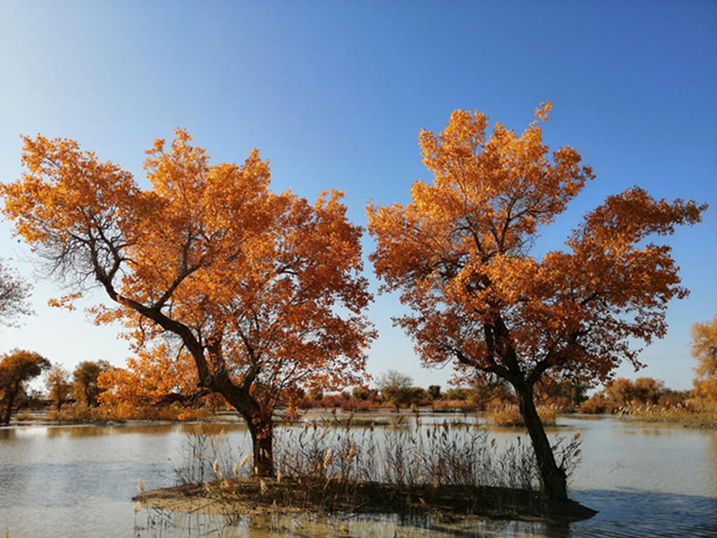 兰州集合西北甘肃阿拉善7日自驾游：金塔胡杨林-额济纳旗-七彩丹霞-嘉峪关-平山湖大峡谷7天自驾游