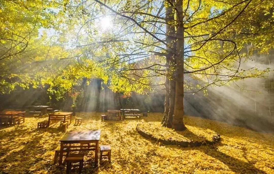 广东出发云南8天落地自驾游：和顺古镇-腾冲-南涧土林-无量山樱花谷8天休闲自驾游