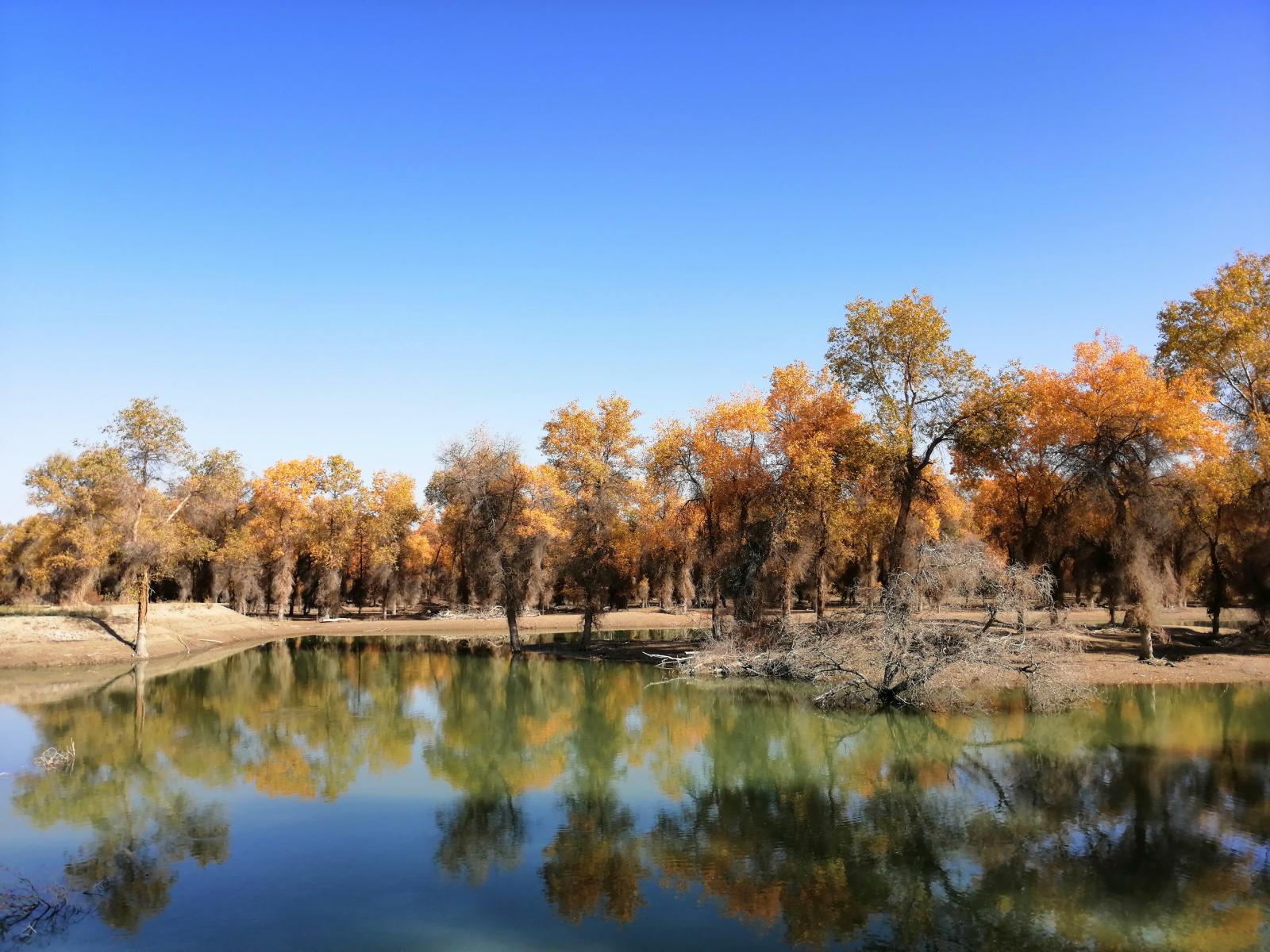 乌鲁木齐集合11日金秋南疆落地自驾游：博斯腾湖-塔里木胡杨林-喀什老城-克孜尔千佛洞11日自驾游