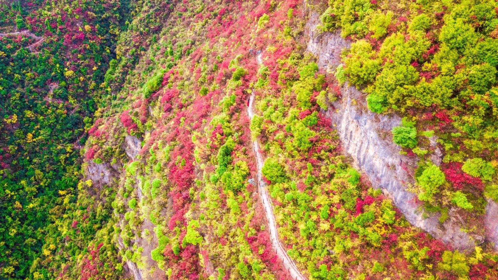 长沙出发重庆宜昌4日自驾游：宜昌三峡大坝-巫山小三峡-神女天路红叶4日自驾游
