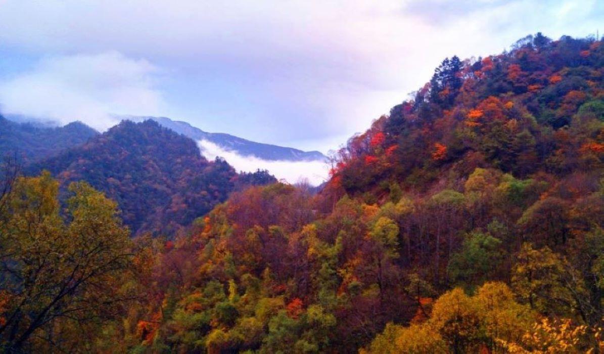北京出发山西阳泉2日自驾游：大美藏山-大汖温泉-特色古村休闲自驾游 