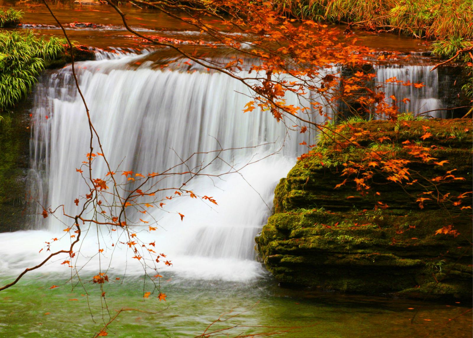 重庆出发陕西3日自驾游：中华龙山-藏在深闺里的秋天-黎坪红叶摄影3日自驾之旅