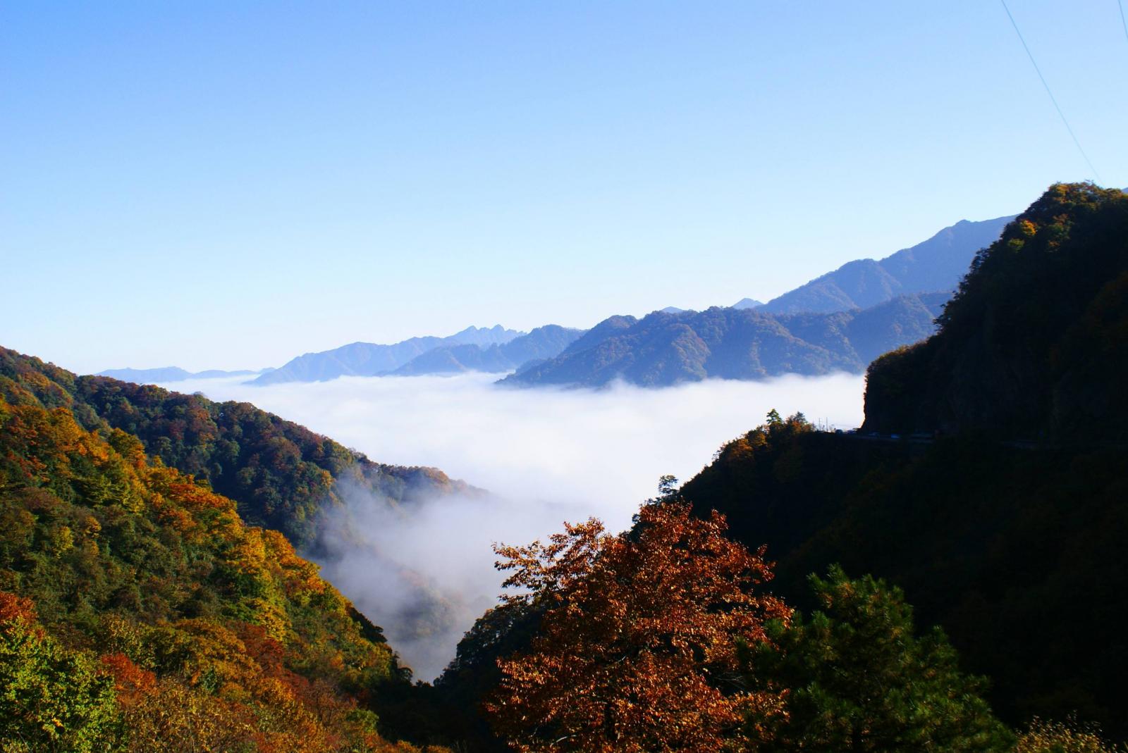 成都出发巴中3日自驾游：南江-光雾山-十八月潭-光雾山桃园3日自驾游