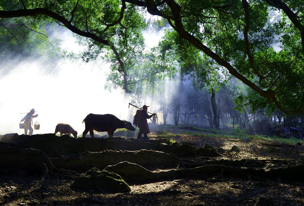 北京出发福建9日自驾游：武夷山-景德镇-杨家溪-狼山9日自驾