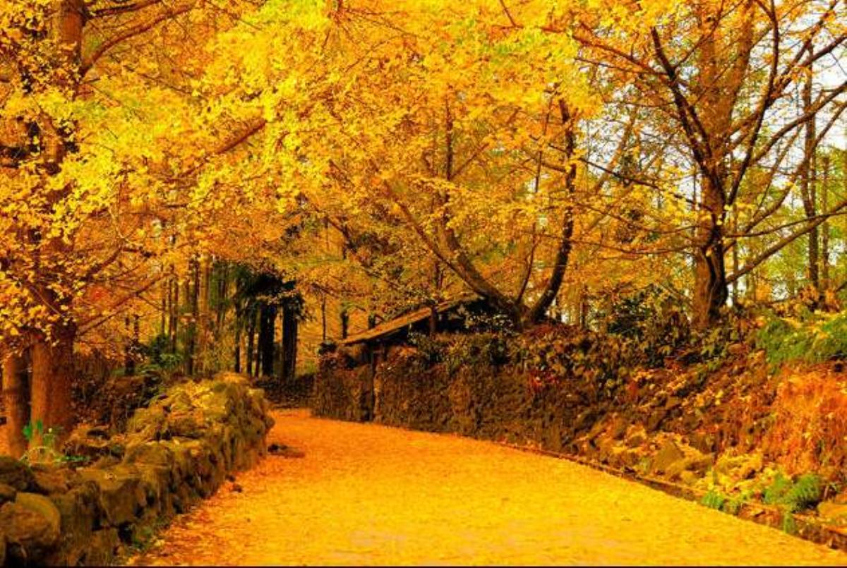 北京出发云南落地10日自驾：腾冲-瑞丽-芒市-昆明10日自驾