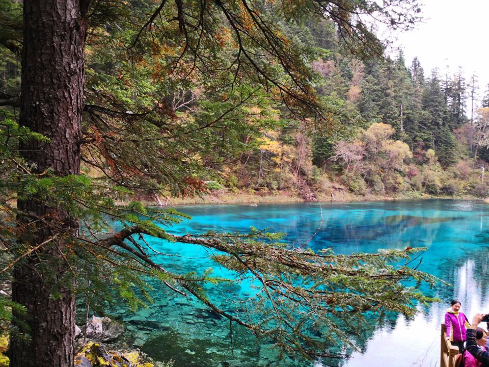 重庆出发九寨沟4日自驾游：萝卜羌寨-九寨沟-黄龙4日川西休闲自驾游