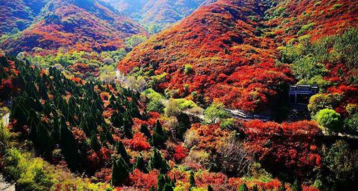 北京出发河北山东8日自驾：石头村、西柏坡、白鹿温泉、王硇村8日自驾