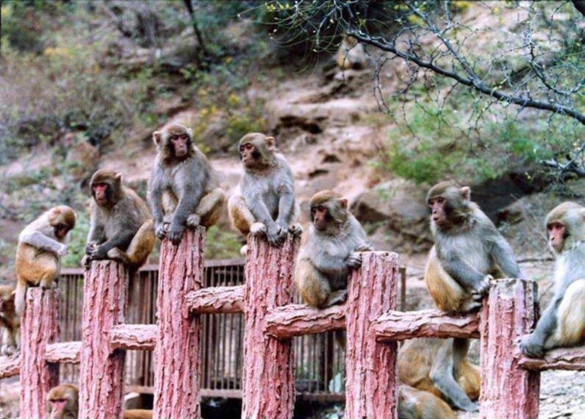 北京出发山西5日自驾：陈家沟，五龙口，皇城相府，平遥古城5日自驾