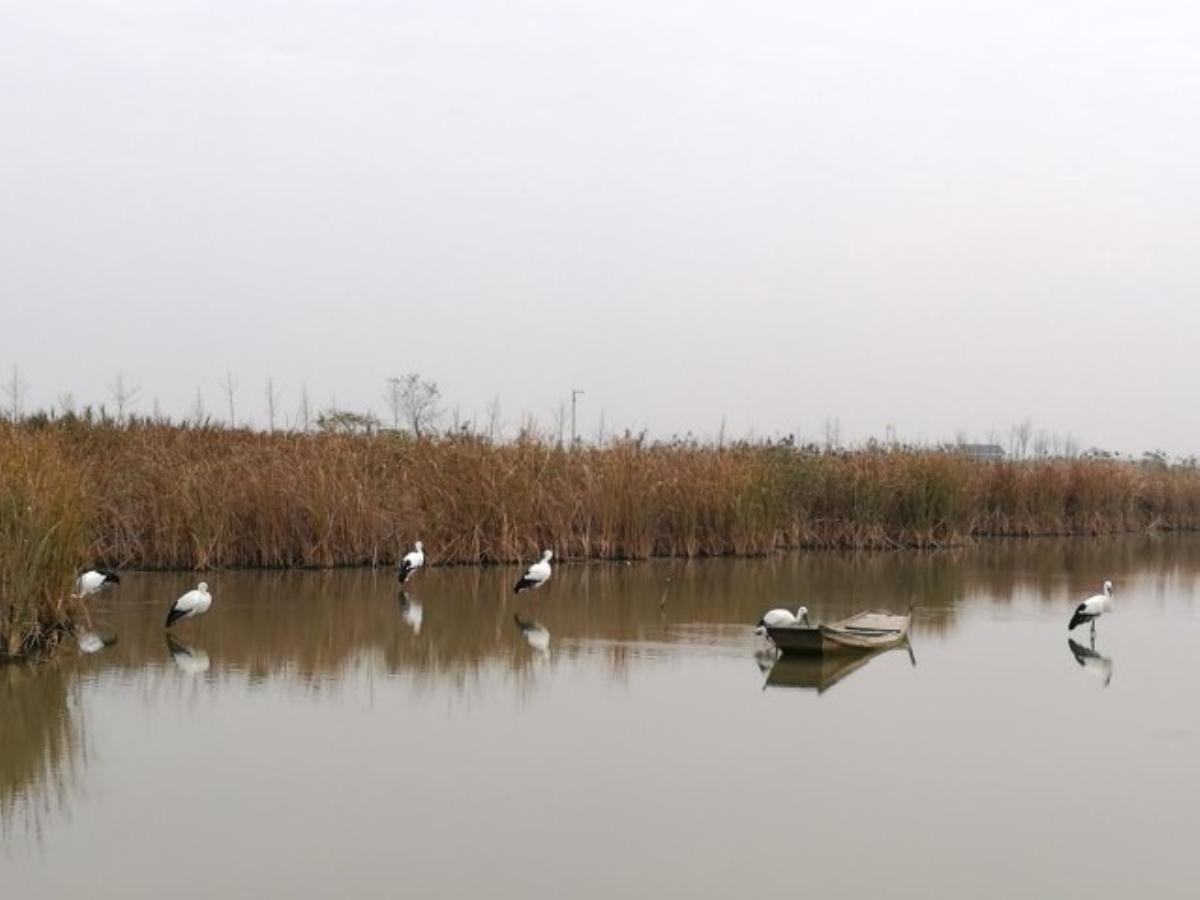 北京出发江苏6日自驾游：美龄宫-秦淮河-总统府-穹窿山6日自驾游