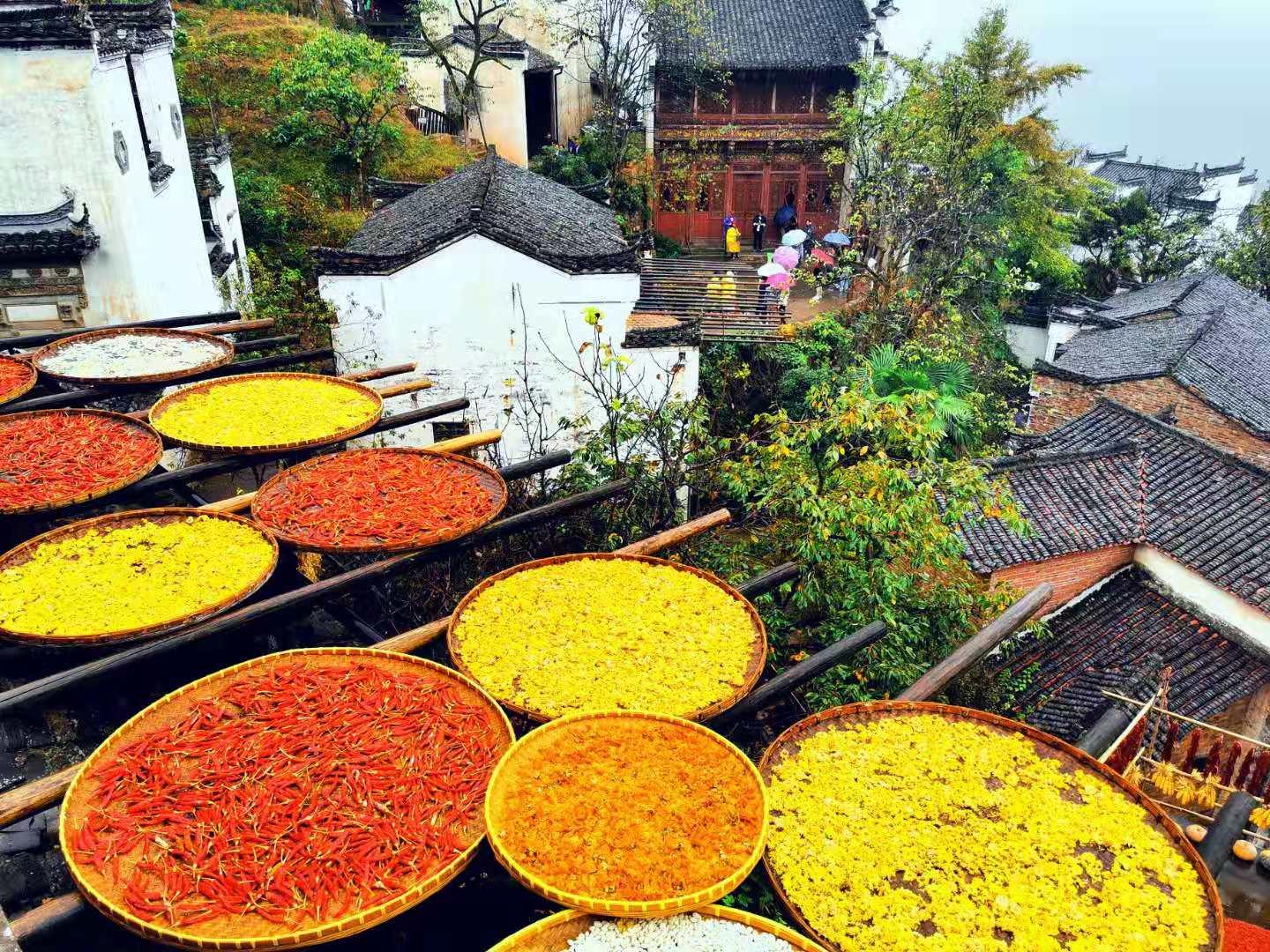 南昌集合江西安徽5日自驾游：婺源-篁岭-黄山-景德镇5日赏秋之旅