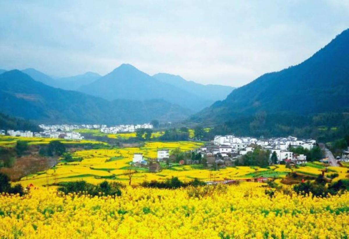 北京出发安徽8日自驾游：西海-瑶里古镇-石城-婺源油菜花8日自驾游