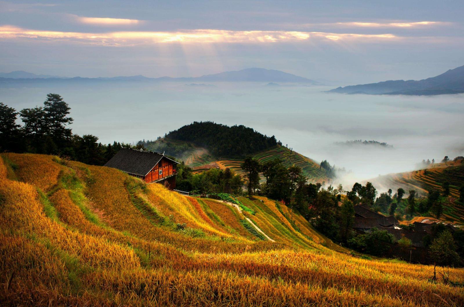 广东出发湖南新化5天自驾游：三联峒-紫鹊界梯田-波月洞-魏源故居5天休闲自驾游