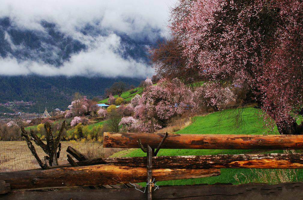 成都出发林芝桃花14日自驾：川藏南线-桃花沟-鲁朗-布宫-大昭寺-羊湖-纳木错14日环线自驾