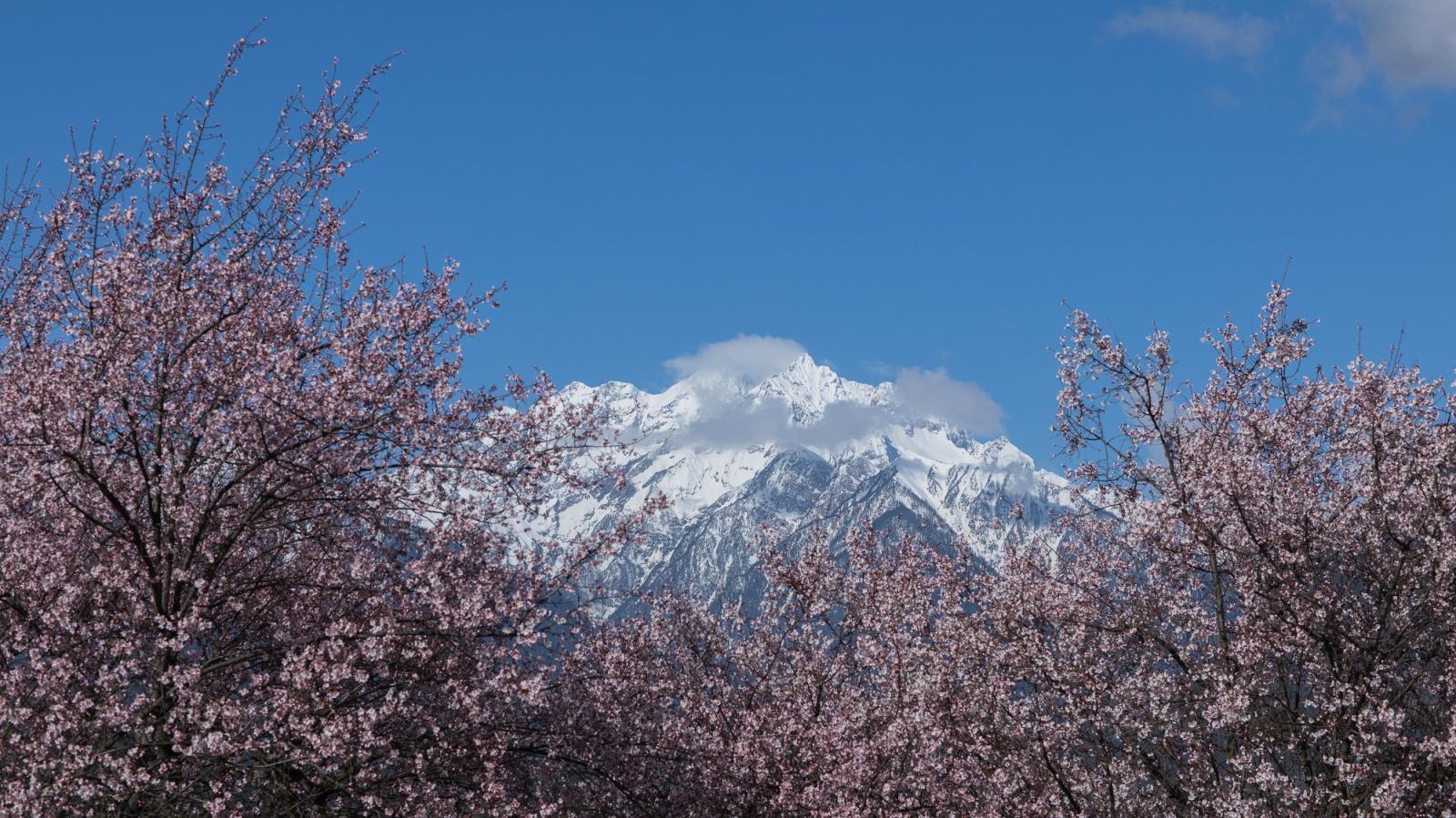 成都出发西藏11日半自由行：甲居藏寨-新都桥-稻城亚丁-梅里雪山- 林芝-圣城拉萨11天半自由行